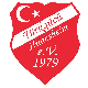 SV Türk Gücü Hildesheim II